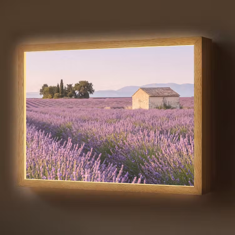Lightbox - Wandlamp - Lavendel - Landschap - Sereen - Paars — 1