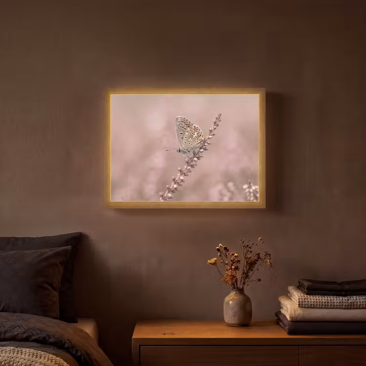Lightbox - Wandlamp - Lavendel - Vlinder - Paars — 3