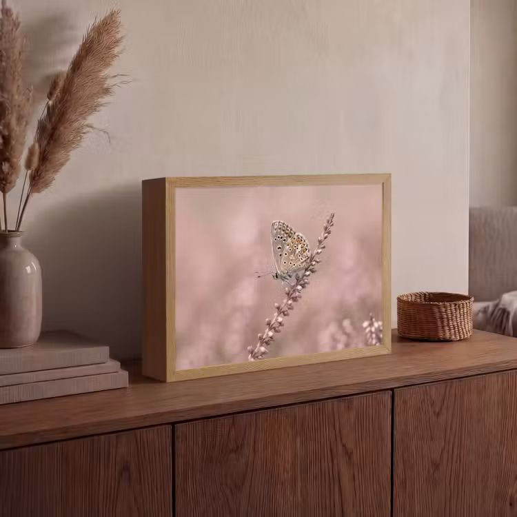 Lightbox - Wandlamp - Lavendel - Vlinder - Paars — 4