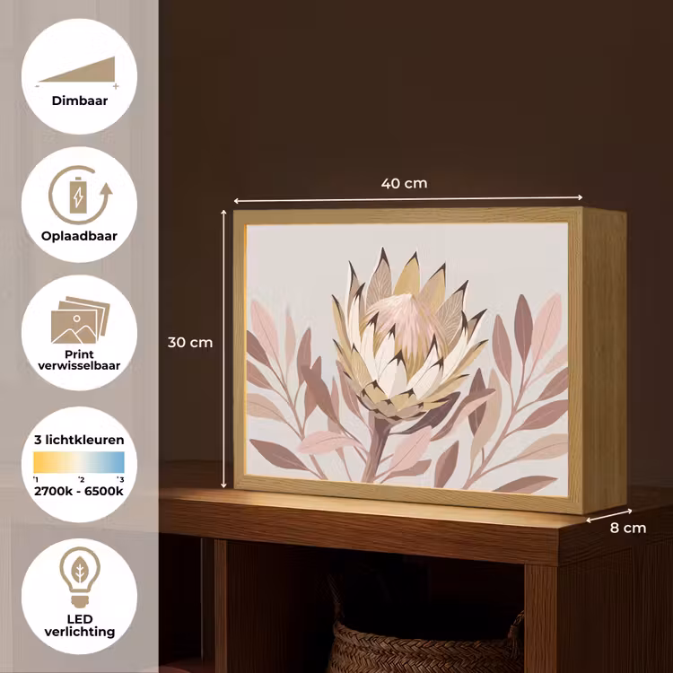 Lightbox - Wandlamp - Protea - Bloem - Botanisch - Beige — 10