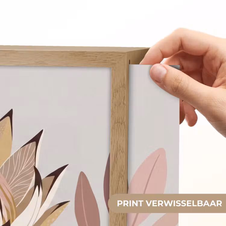 Lightbox - Wandlamp - Protea - Bloem - Botanisch - Beige — 5