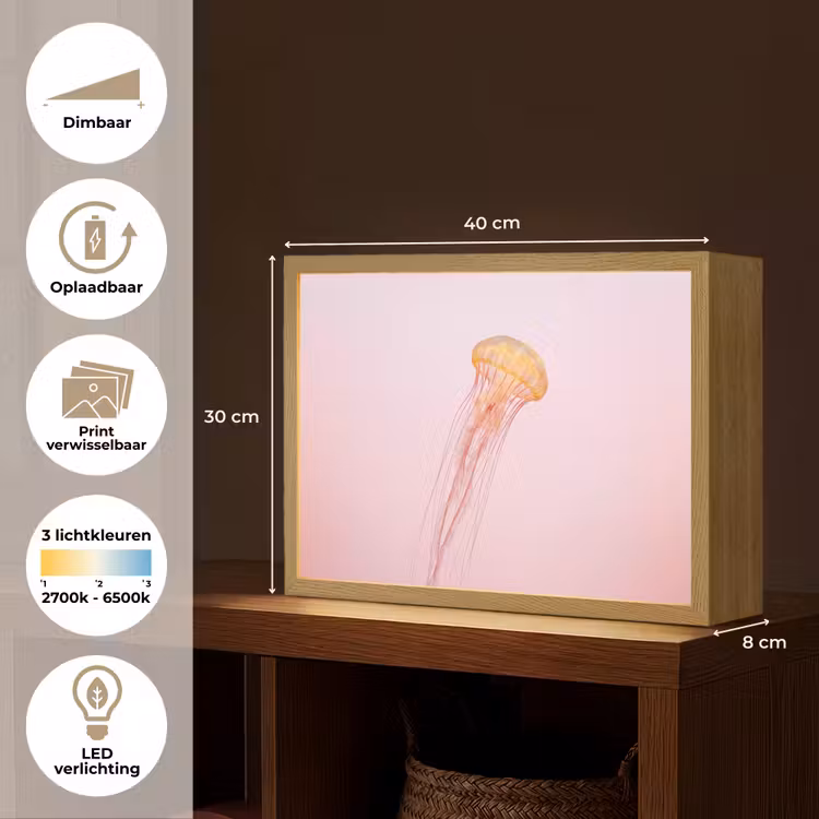 Lightbox - Wandlamp - Sierlijk - Kwal - Roze — 10