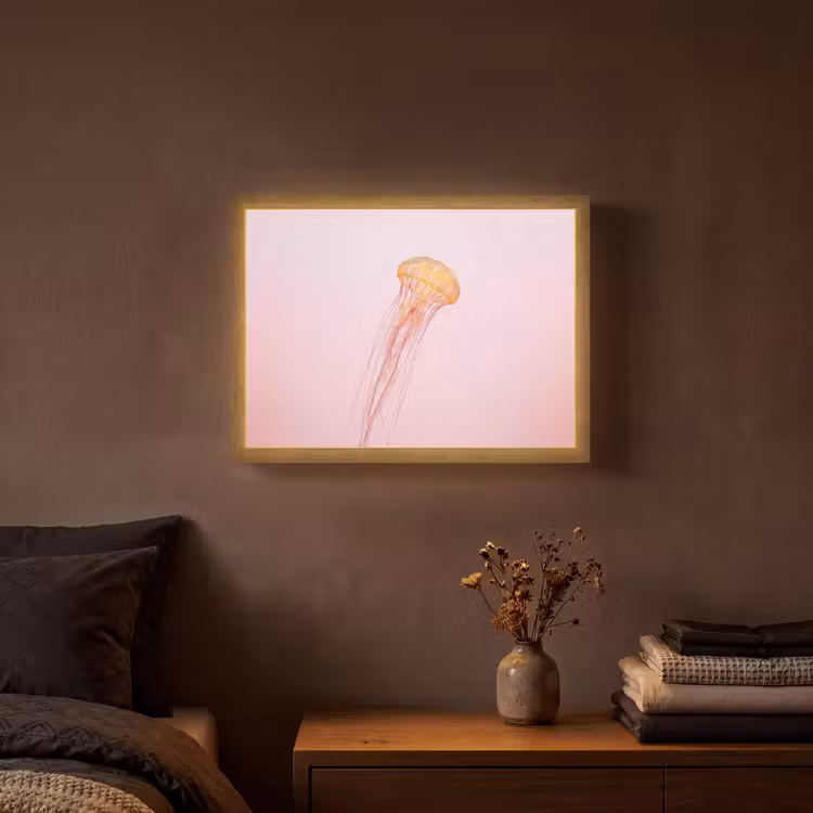 Lightbox - Wandlamp - Sierlijk - Kwal - Roze — 3