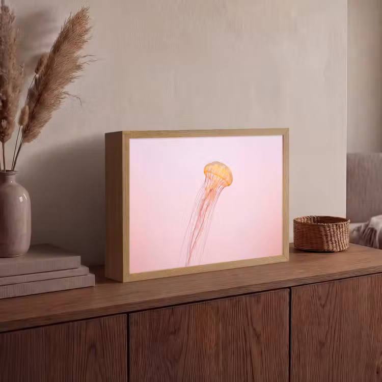 Lightbox - Wandlamp - Sierlijk - Kwal - Roze — 4