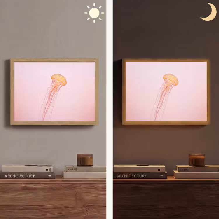 Lightbox - Wandlamp - Sierlijk - Kwal - Roze — 6