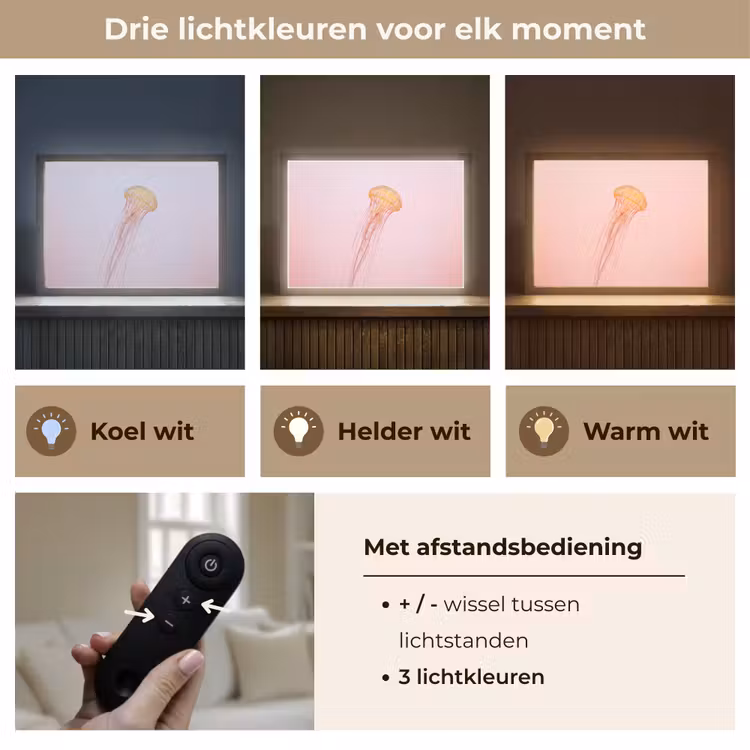 Lightbox - Wandlamp - Sierlijk - Kwal - Roze — 8