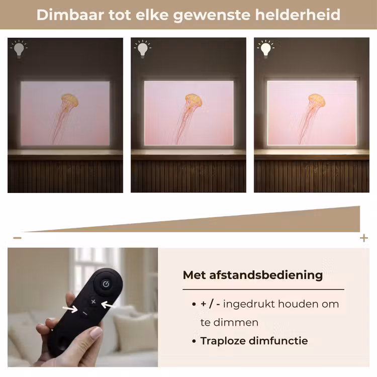 Lightbox - Wandlamp - Sierlijk - Kwal - Roze — 9