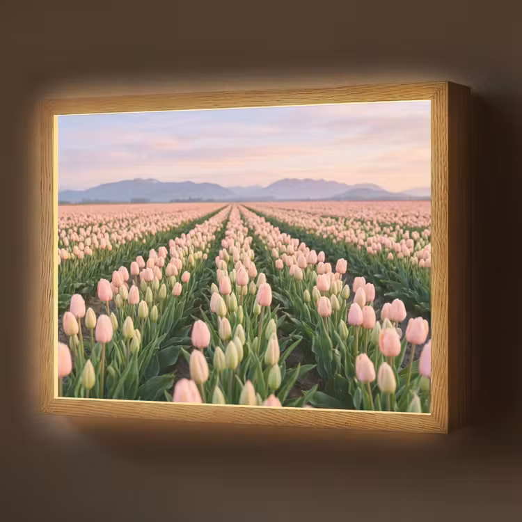 Lightbox - Wandlamp - Tulpen - Landschap - Roze — 1
