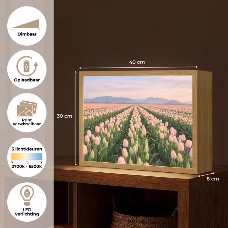 Lightbox - Wandlamp - Tulpen - Landschap - Roze — 10