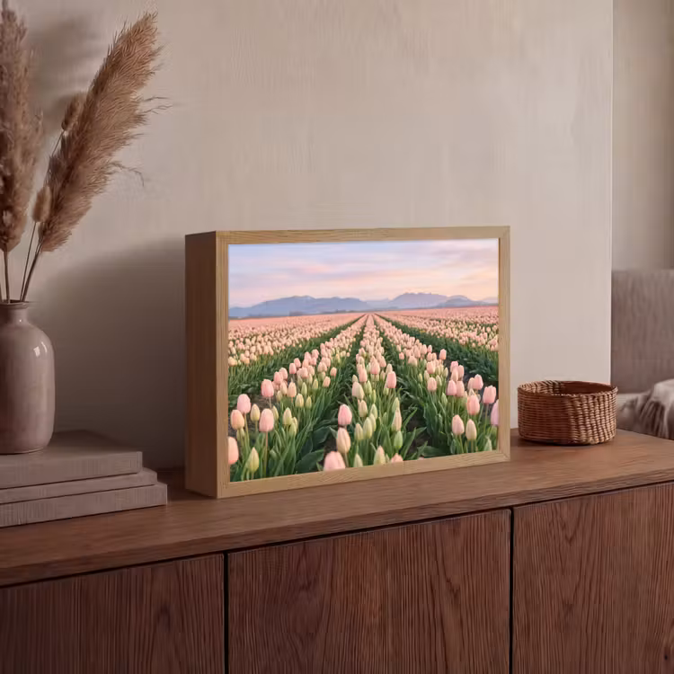 Lightbox - Wandlamp - Tulpen - Landschap - Roze — 4