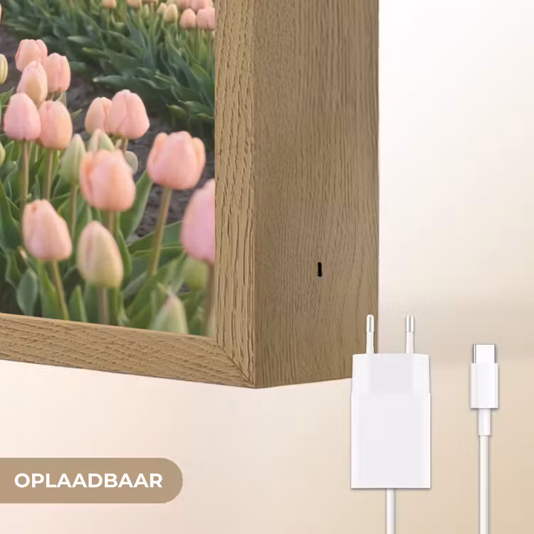 Lightbox - Wandlamp - Tulpen - Landschap - Roze — 7