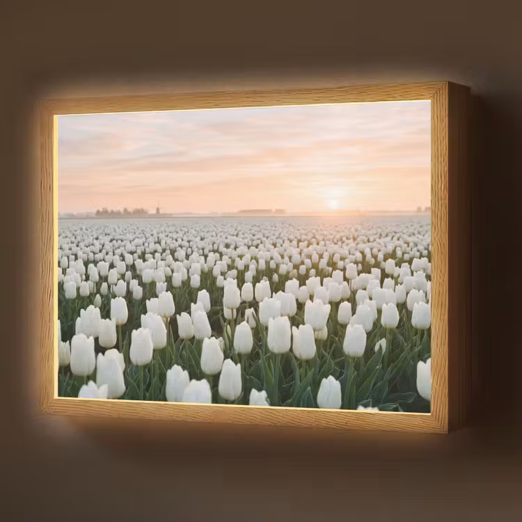 Lightbox - Wandlamp - Tulpen - Landschap - Wit — 1