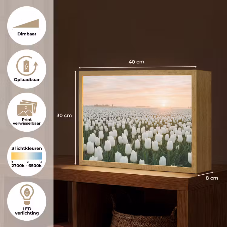 Lightbox - Wandlamp - Tulpen - Landschap - Wit — 10