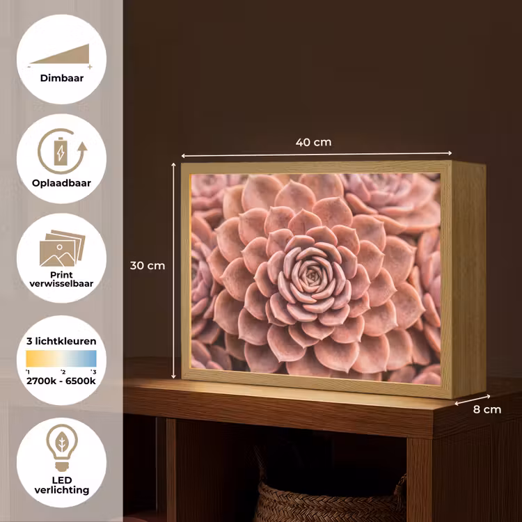 Lightbox - Wandlamp - Vetplant - Organisch - Roze — 10
