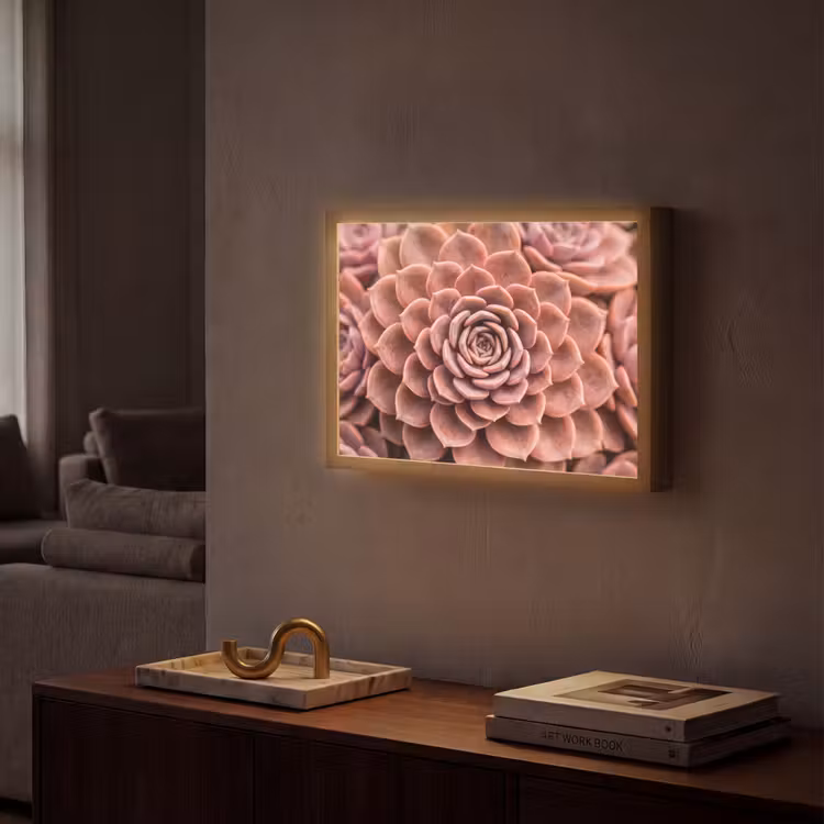 Lightbox - Wandlamp - Vetplant - Organisch - Roze — 2