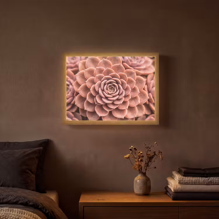 Lightbox - Wandlamp - Vetplant - Organisch - Roze — 3