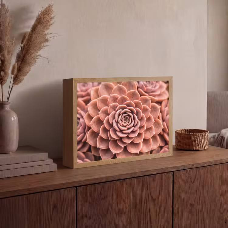 Lightbox - Wandlamp - Vetplant - Organisch - Roze — 4