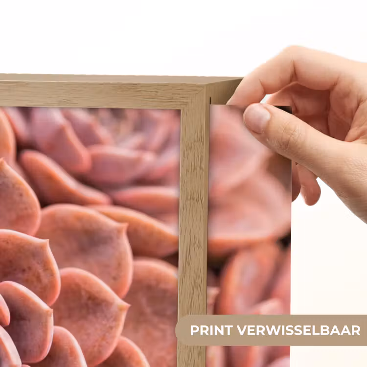 Lightbox - Wandlamp - Vetplant - Organisch - Roze — 5