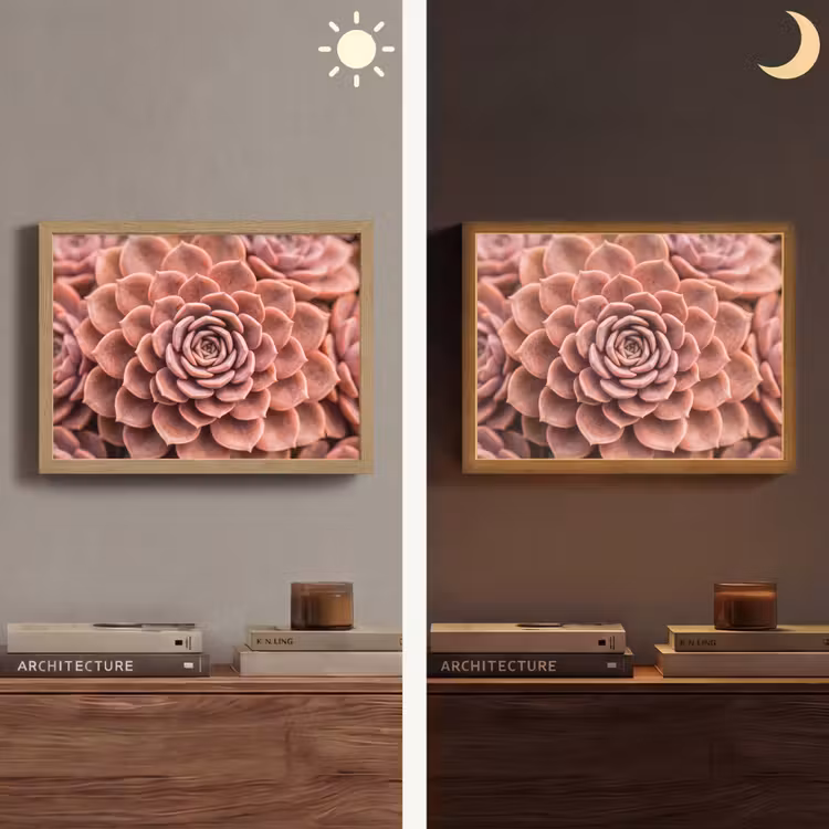 Lightbox - Wandlamp - Vetplant - Organisch - Roze — 6