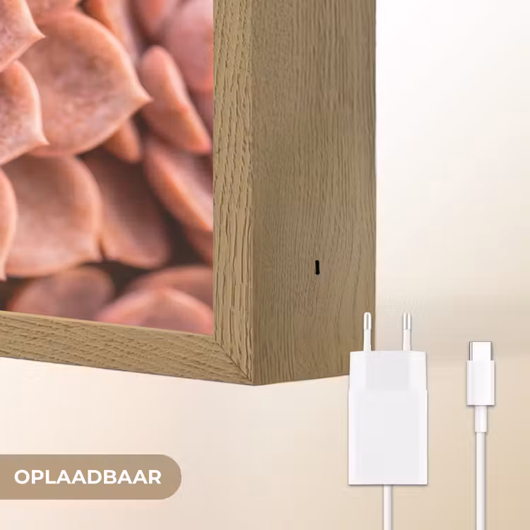 Lightbox - Wandlamp - Vetplant - Organisch - Roze — 7