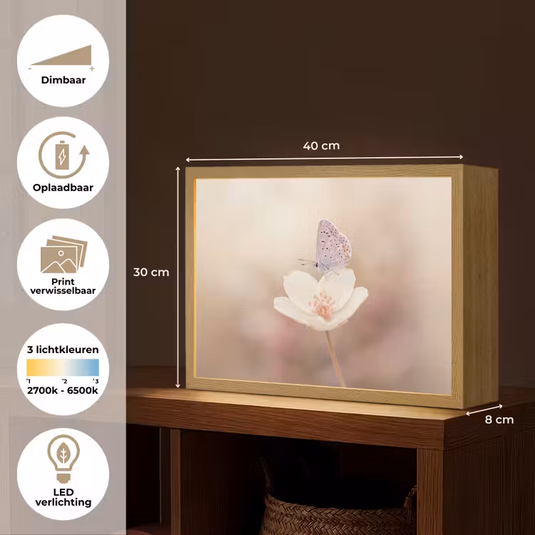 Lightbox - Wandlamp - Vlinder - Bloem - Blauw — 10