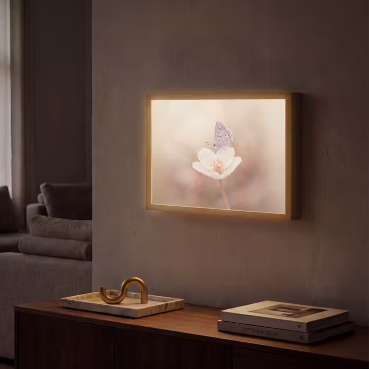 Lightbox - Wandlamp - Vlinder - Bloem - Blauw — 2