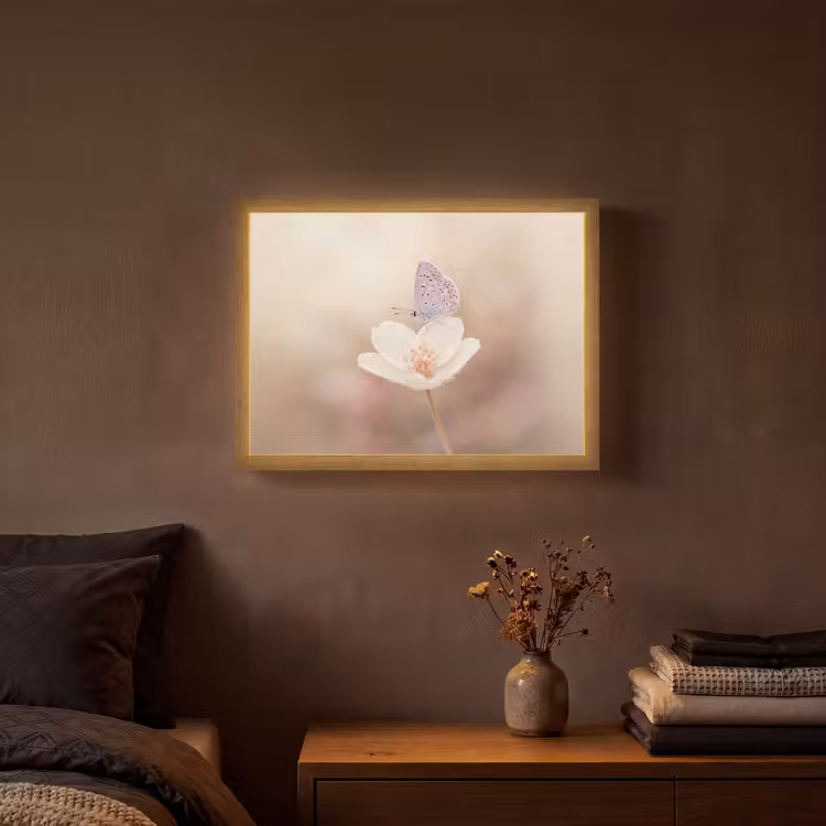 Lightbox - Wandlamp - Vlinder - Bloem - Blauw — 3