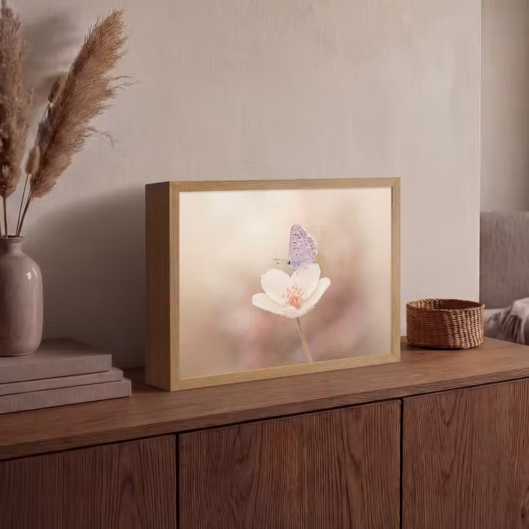 Lightbox - Wandlamp - Vlinder - Bloem - Blauw — 4