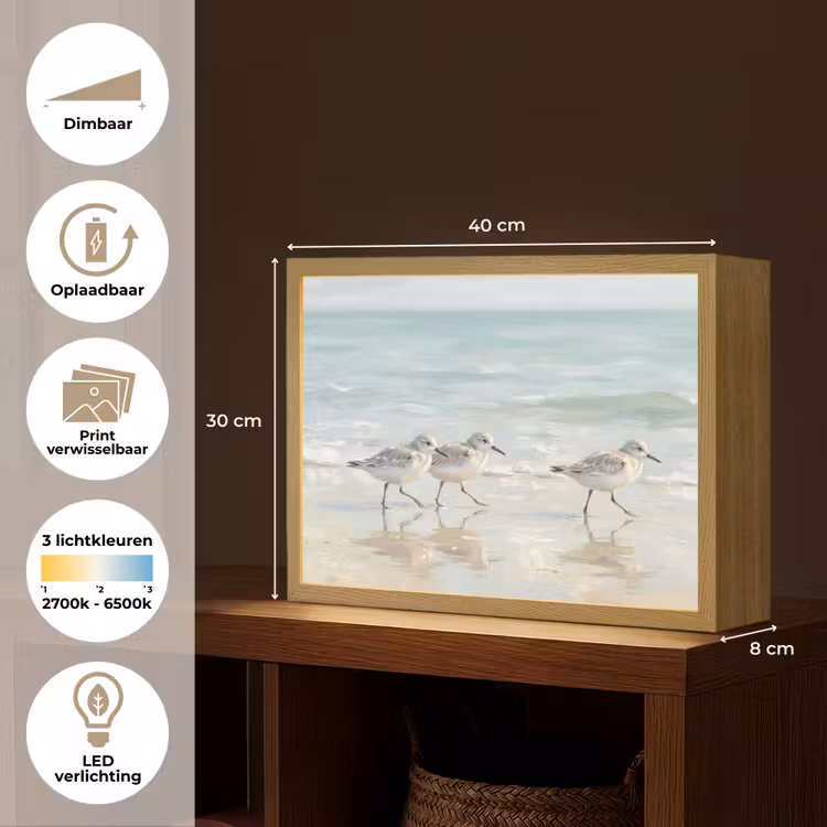 Lightbox - Wandlamp - Vogels - Strand - Zee — 10