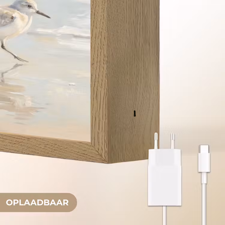 Lightbox - Wandlamp - Vogels - Strand - Zee — 7