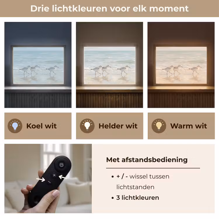 Lightbox - Wandlamp - Vogels - Strand - Zee — 8