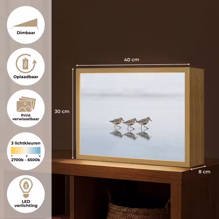 Lightbox - Wandlamp - Vogels - Water - Grijs — 10