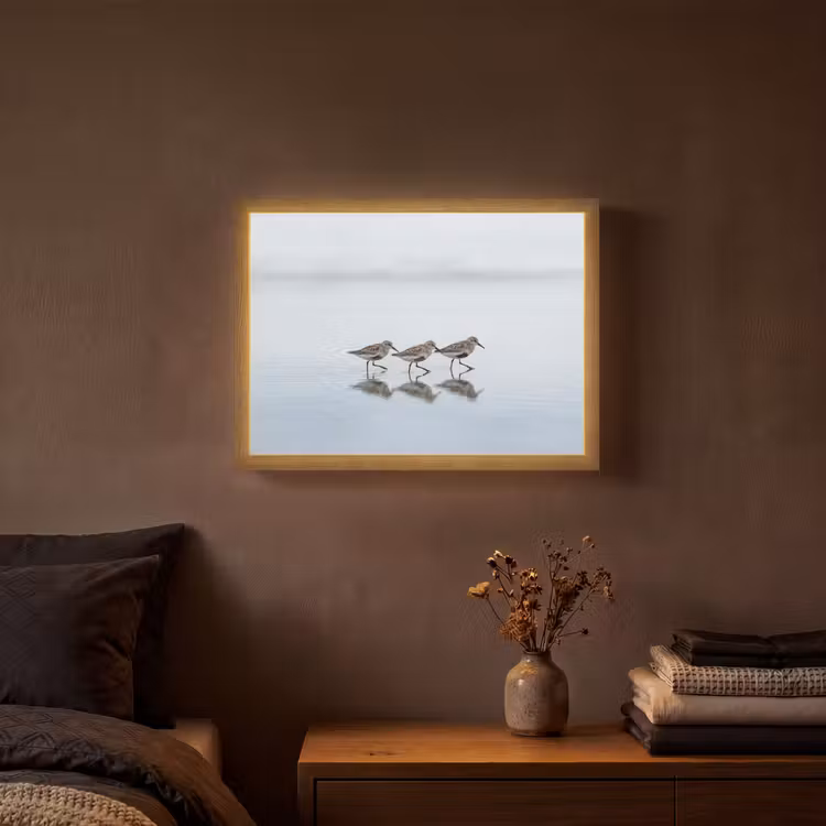 Lightbox - Wandlamp - Vogels - Water - Grijs — 3