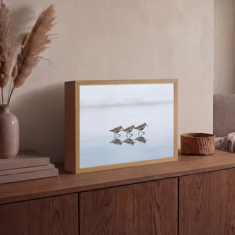Lightbox - Wandlamp - Vogels - Water - Grijs — 4