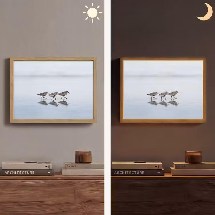 Lightbox - Wandlamp - Vogels - Water - Grijs — 6
