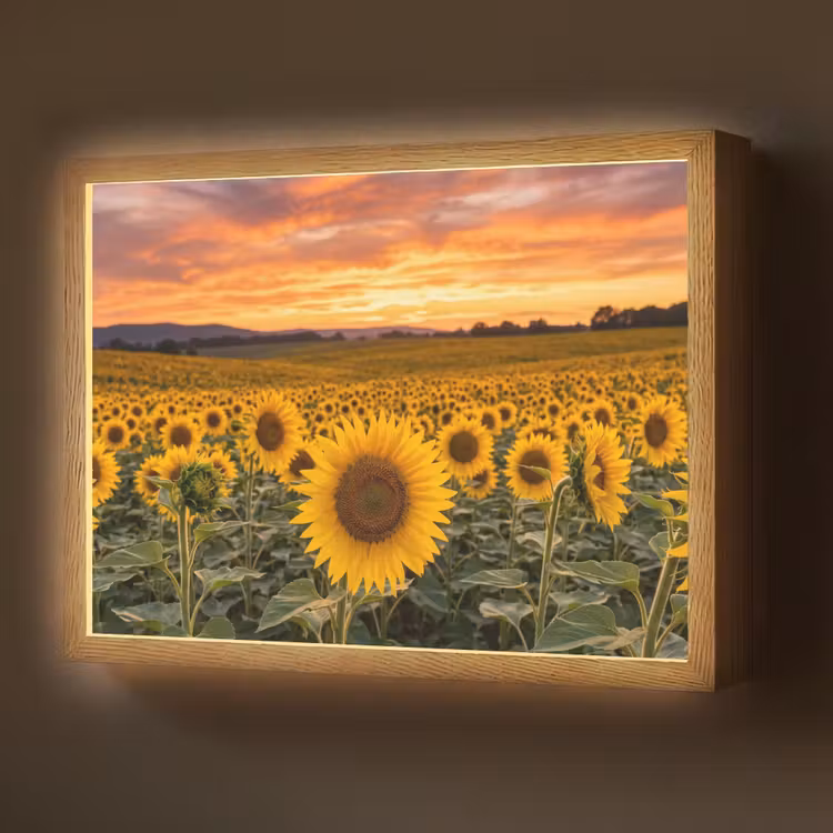 Lightbox - Wandlamp - Zonnebloemen - Heuvellandschap - Geel — 1