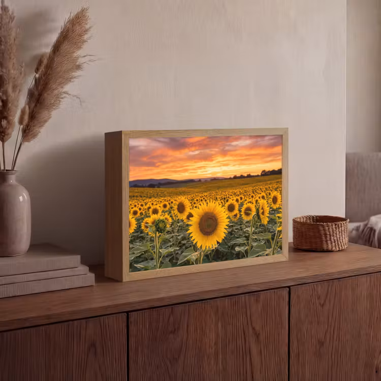Lightbox - Wandlamp - Zonnebloemen - Heuvellandschap - Geel — 4