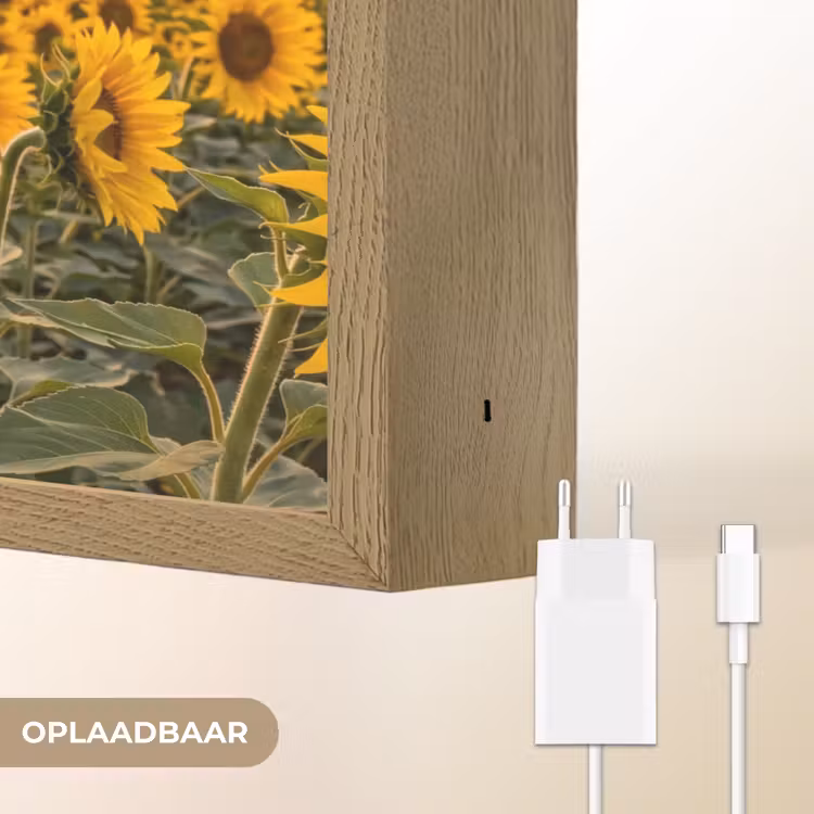 Lightbox - Wandlamp - Zonnebloemen - Heuvellandschap - Geel — 7