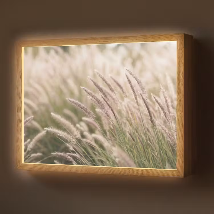 Lightbox - Wandlamp - Gras - Close up - Groen — 1