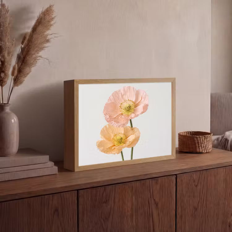 Lightbox - Wandlamp - Papavers - Botanisch - Roze — 4