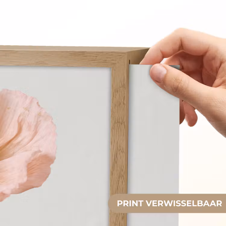 Lightbox - Wandlamp - Papavers - Botanisch - Roze — 5