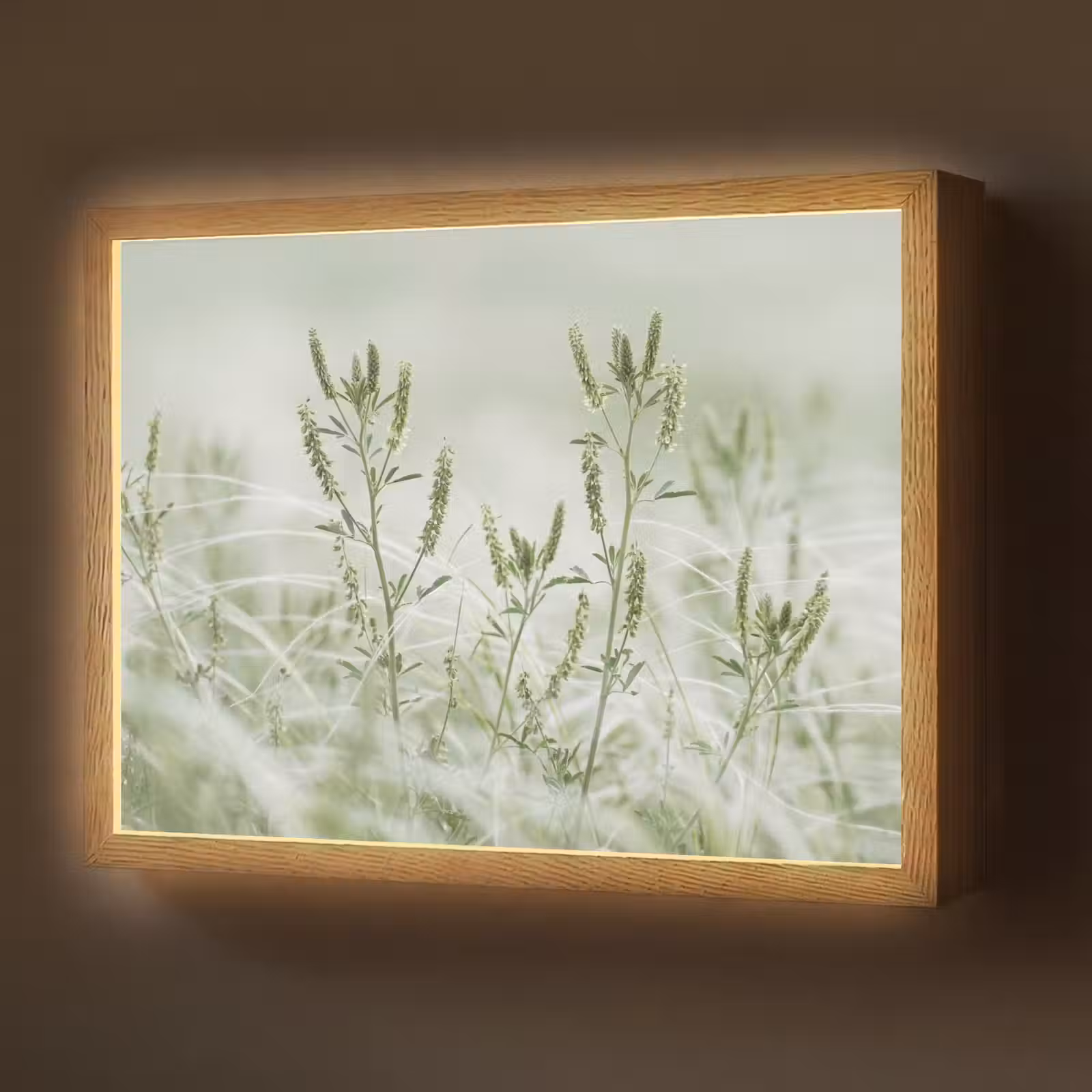 Lightbox - Wandlamp - Grassen - Minimalistisch - Groen — 1