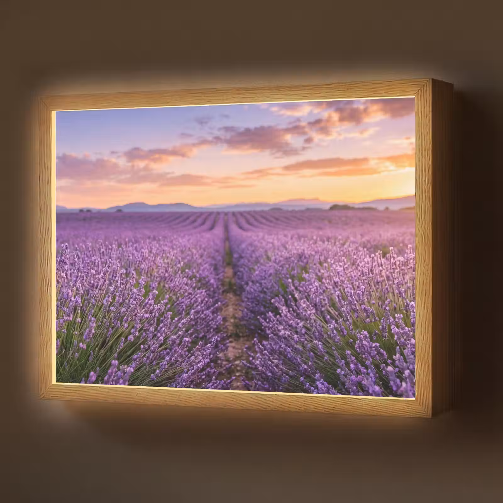 Lightbox - Wandlamp - Lavendel - Veld - Natuur - Paars — 1