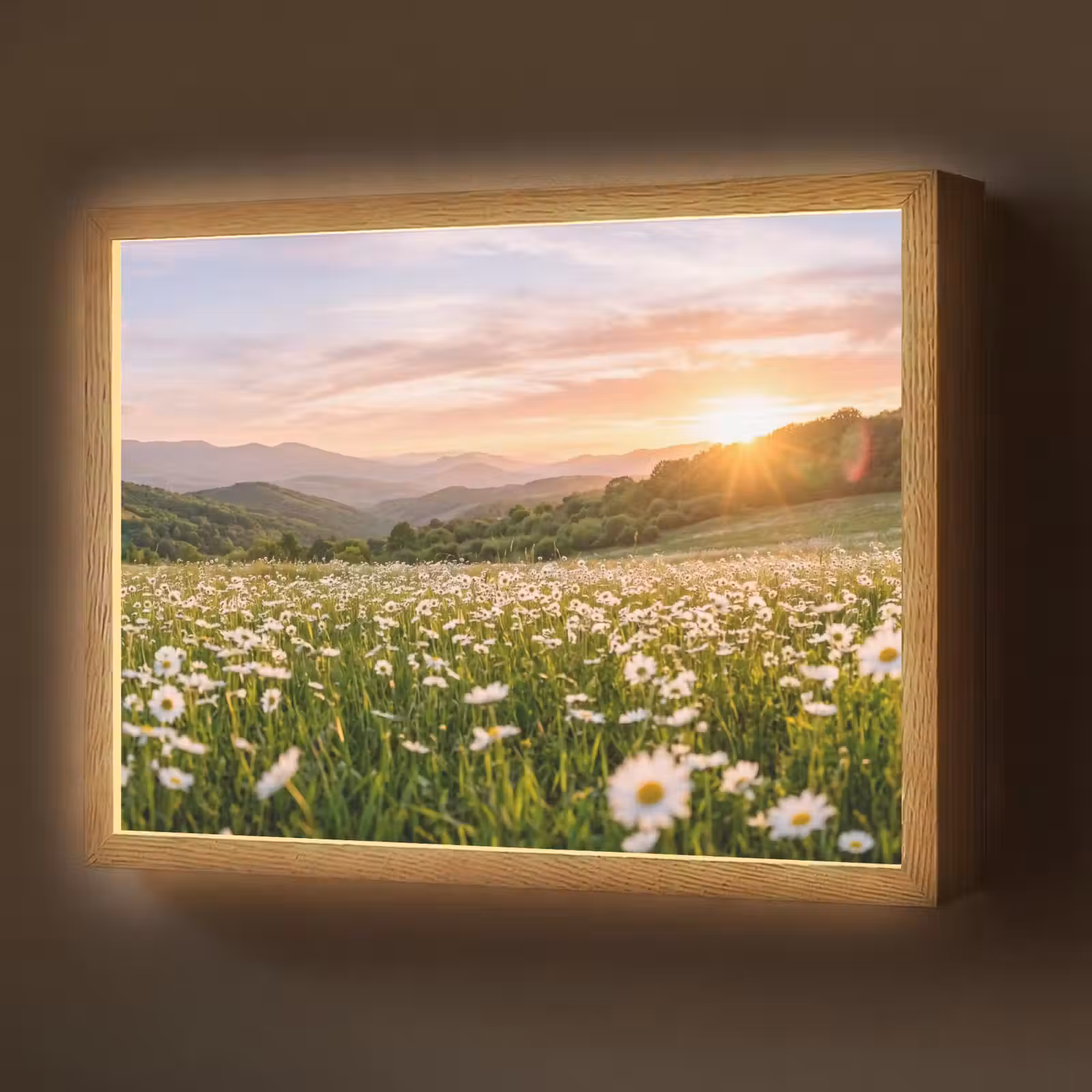 Lightbox - Wandlamp - Madelief - Veld - Heuvels - Groen — 1