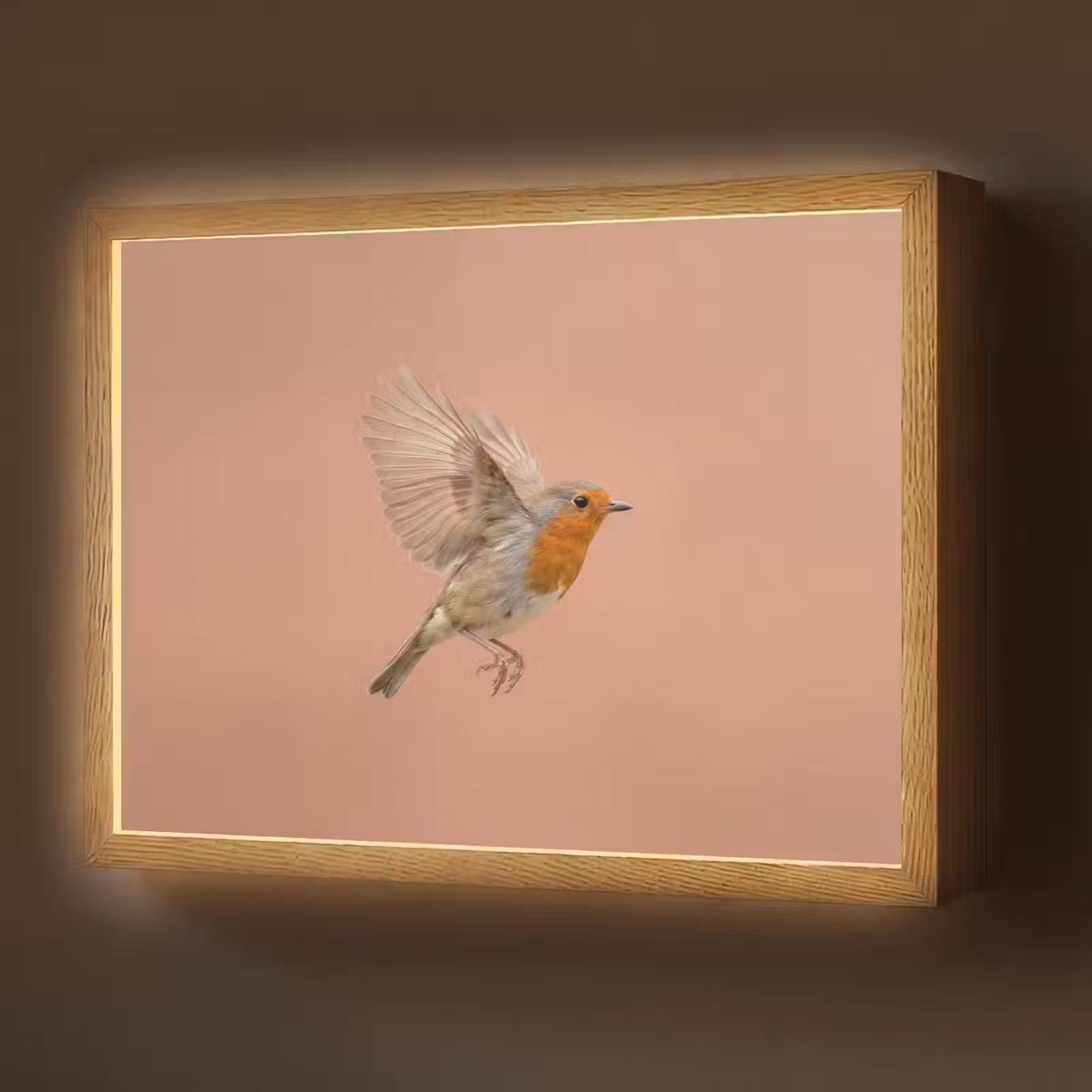 Lightbox - Wandlamp - Roodborst - Natuur - Roze — 1