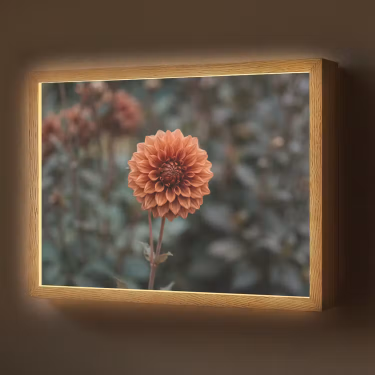 Lightbox - Wandlamp - Dahlia - Bloem - Natuur - Sfeervol — 1