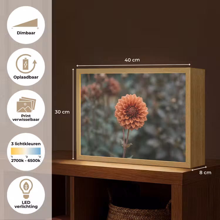 Lightbox - Wandlamp - Dahlia - Bloem - Natuur - Sfeervol — 10