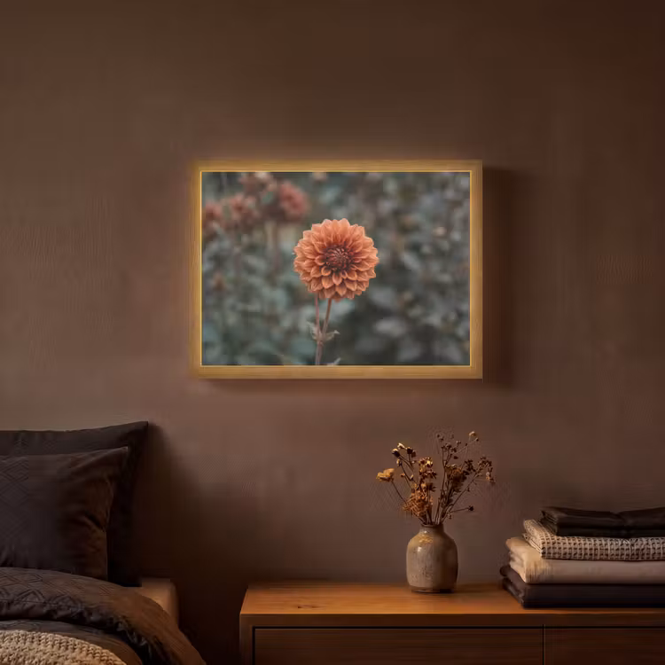 Lightbox - Wandlamp - Dahlia - Bloem - Natuur - Sfeervol — 3