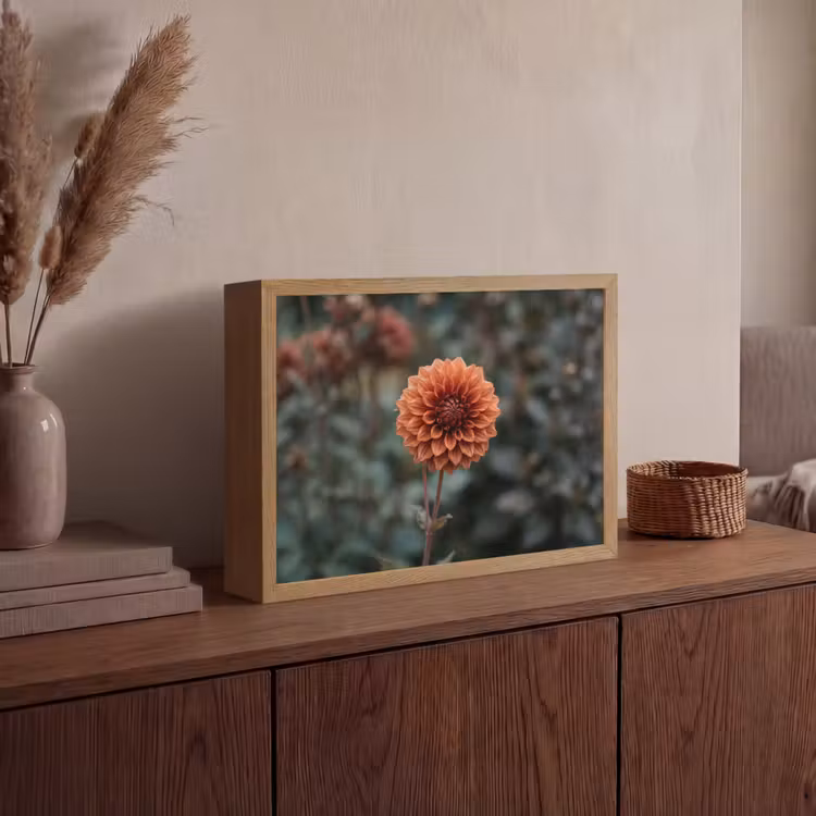 Lightbox - Wandlamp - Dahlia - Bloem - Natuur - Sfeervol — 4