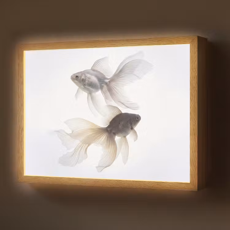 Lightbox - Wandlamp - Goudvissen - Modern - Wit — 1